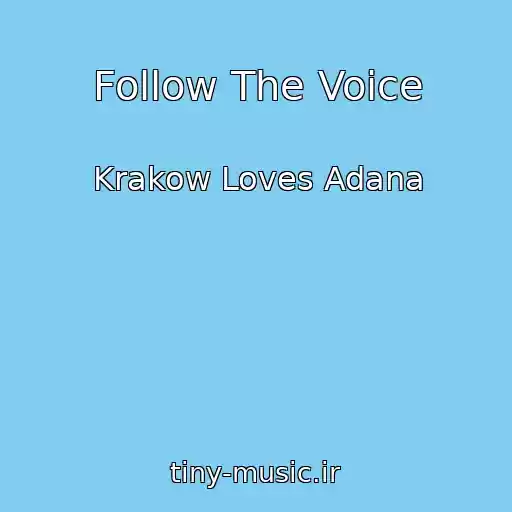 کاور آهنگ Follow The Voice از Krakow Loves Adana