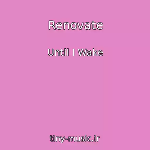 کاور آهنگ Renovate از Until I Wake