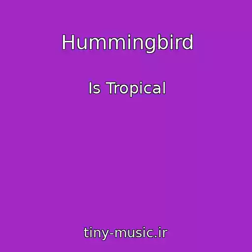 کاور آهنگ Hummingbird از Is Tropical