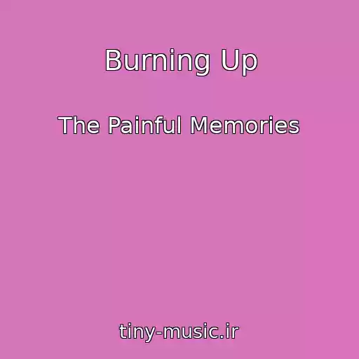 کاور آهنگ Burning Up از The Painful Memories