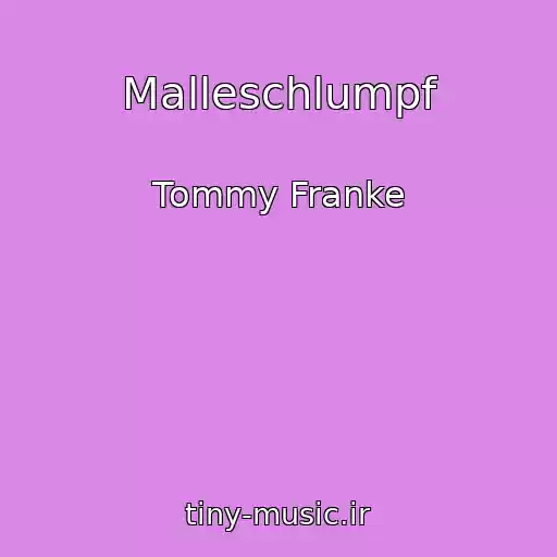 کاور آهنگ Malleschlumpf از Tommy Franke