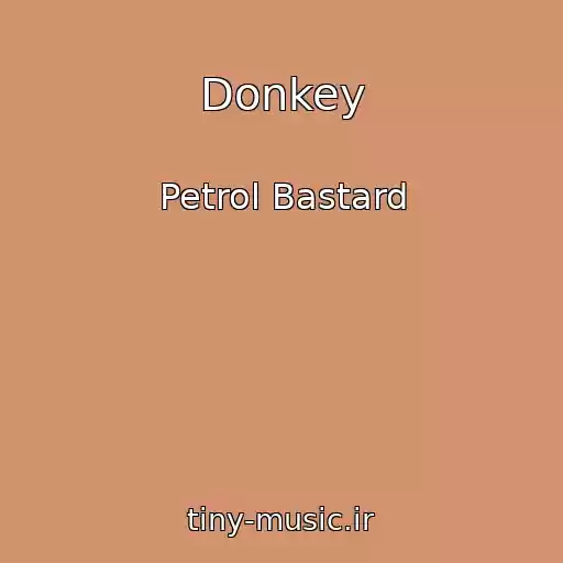 کاور آهنگ Donkey از Petrol Bastard