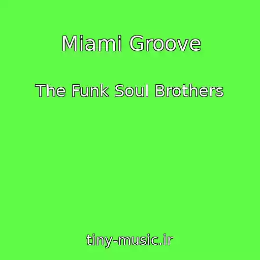 کاور آهنگ Miami Groove از The Funk Soul Brothers