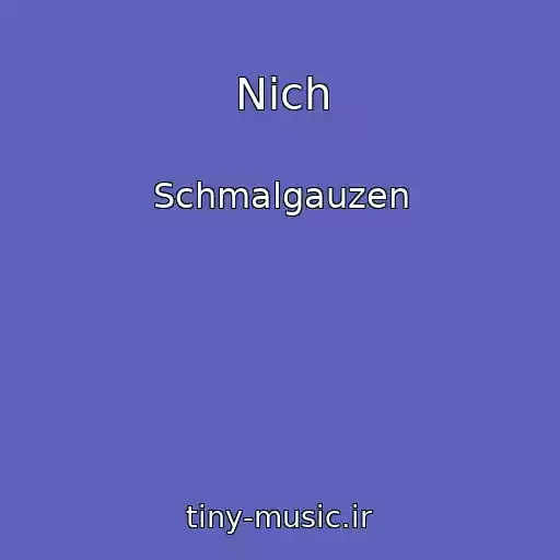 کاور آهنگ Nіch از Schmalgauzen