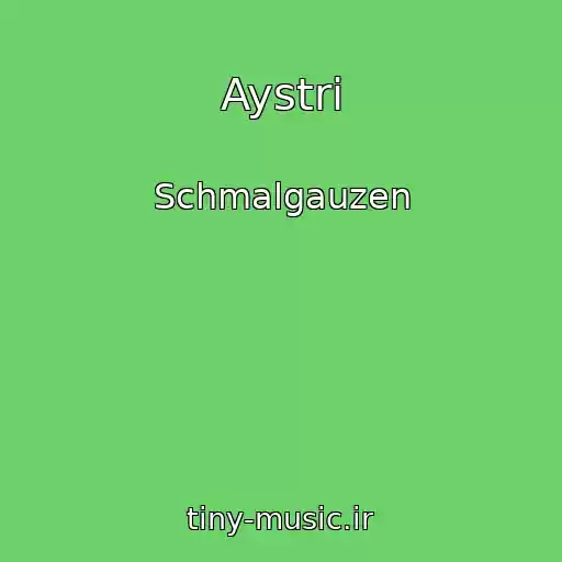 کاور آهنگ Aystri از Schmalgauzen