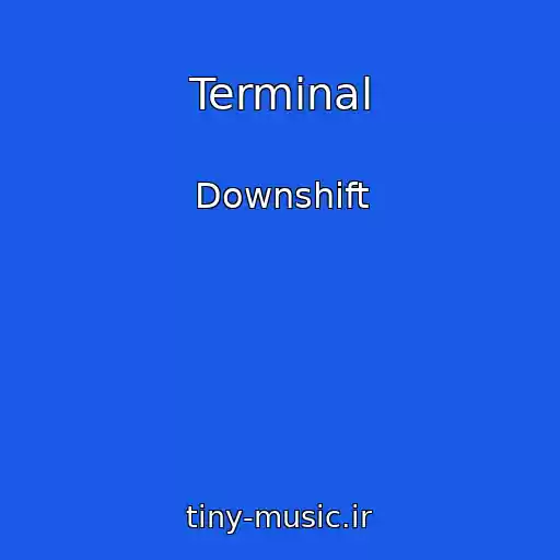 کاور آهنگ Terminal از Downshift