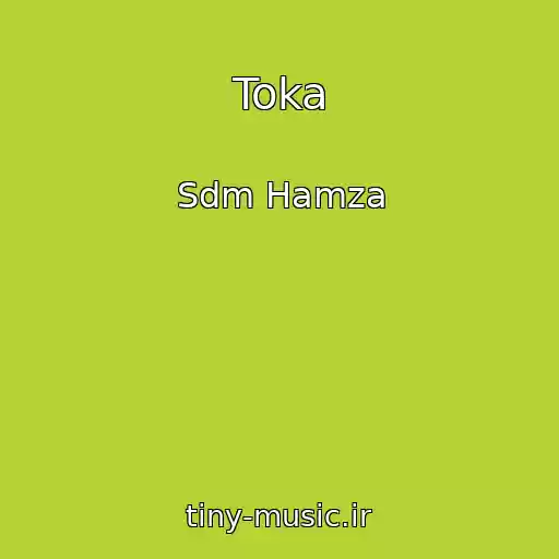 کاور آهنگ Toka از Sdm Hamza