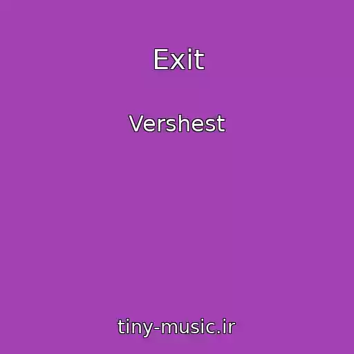 کاور آهنگ Exit از Vershest