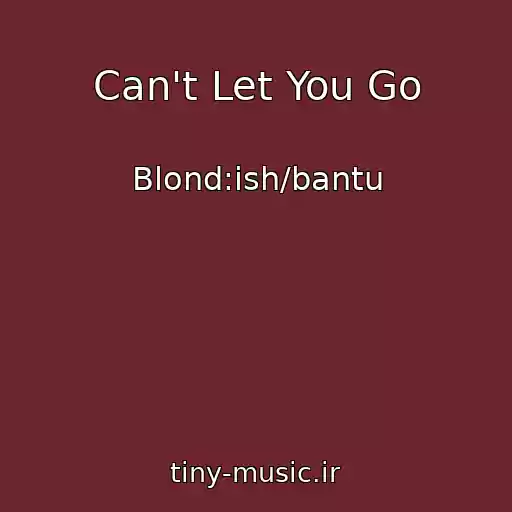 کاور آهنگ Can't Let You Go از Blond:ish/bantu