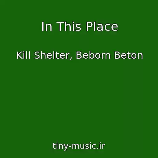 کاور آهنگ In This Place از Kill Shelter, Beborn Beton