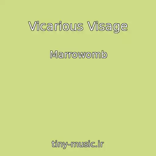 کاور آهنگ Vicarious Visage از Marrowomb