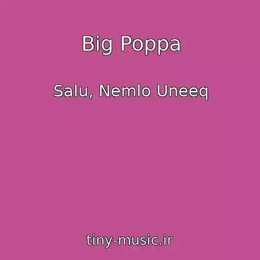 کاور آهنگ Big Poppa از Salu, Nemlo Uneeq