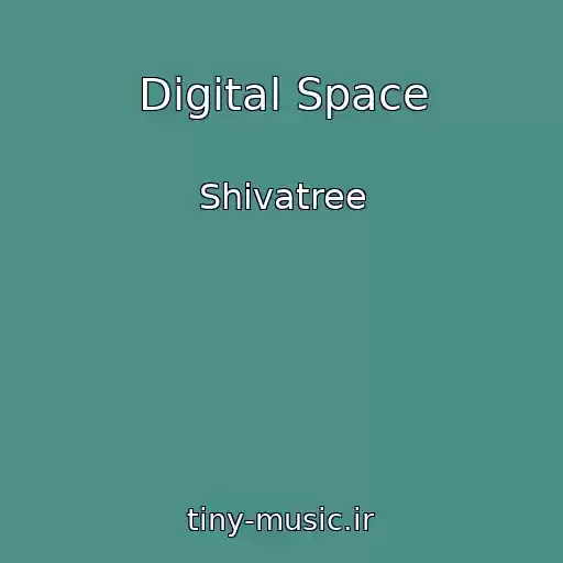 کاور آهنگ Digital Space از Shivatree