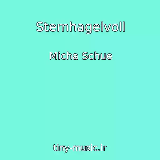 کاور آهنگ Sternhagelvoll از Micha Schue