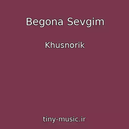 کاور آهنگ Begona Sevgim از Khusnorik