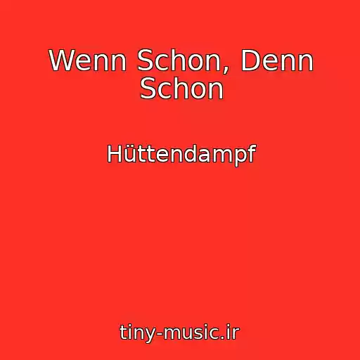 کاور آهنگ Wenn Schon, Denn Schon از Hüttendampf