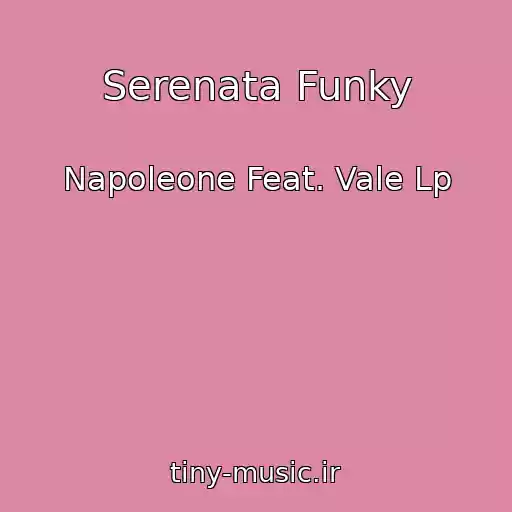 کاور آهنگ Serenata Funky از Napoleone Feat. Vale Lp
