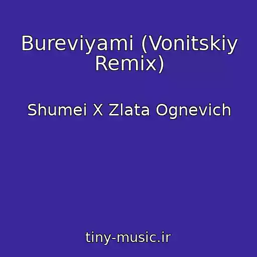 کاور آهنگ Burevіyami (Vonitskiy Remix) از Shumei X Zlata Ognevich