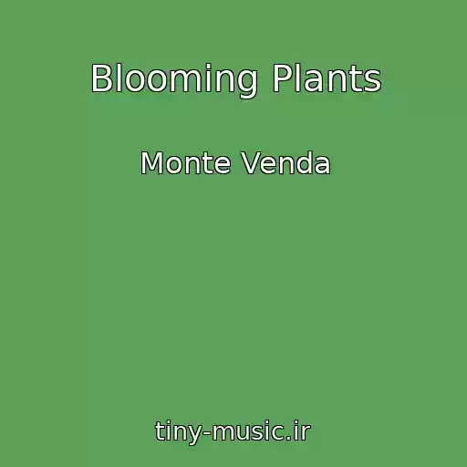 کاور آهنگ Blooming Plants از Monte Venda