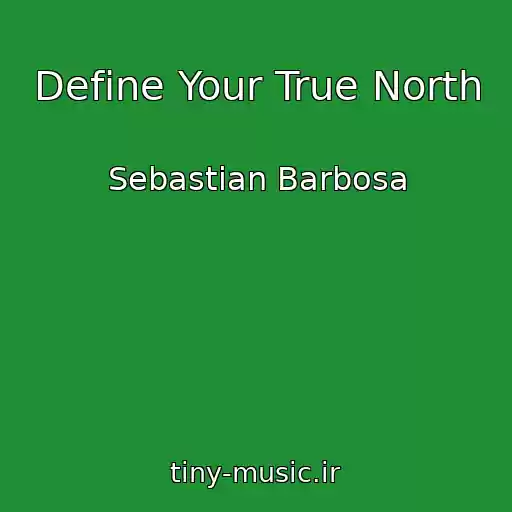 کاور آهنگ Define Your True North از Sebastian Barbosa