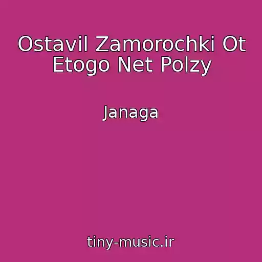 کاور آهنگ Ostavil Zamorochki Ot Etogo Net Polzy از Janaga