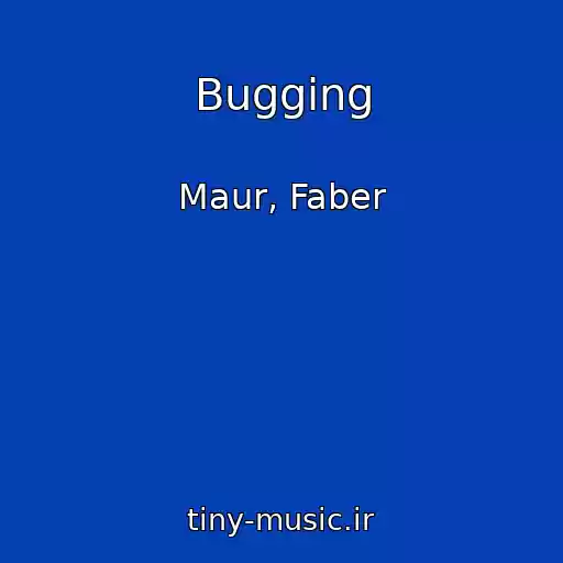 کاور آهنگ Bugging از Maur, Faber