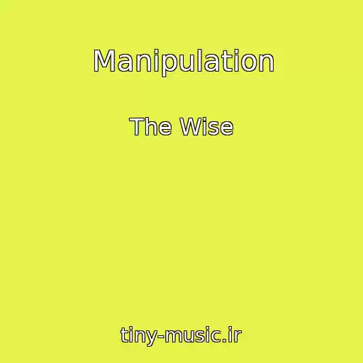 کاور آهنگ Manipulation از The Wise
