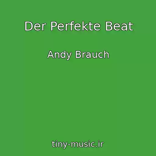 کاور آهنگ Der Perfekte Beat از Andy Brauch