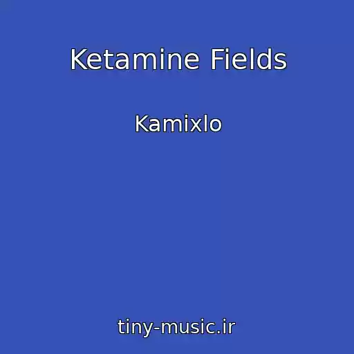 کاور آهنگ Ketamine Fields از Kamixlo