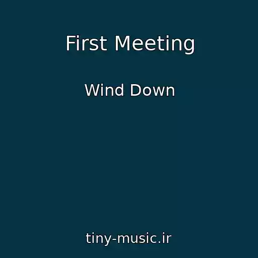 کاور آهنگ First Meeting از Wind Down