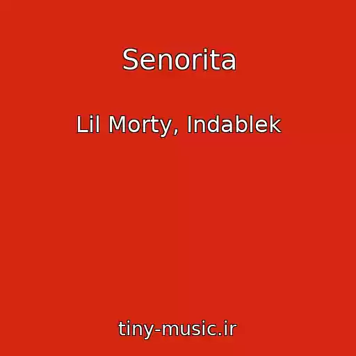 کاور آهنگ Senorita از Lil Morty, Indablek