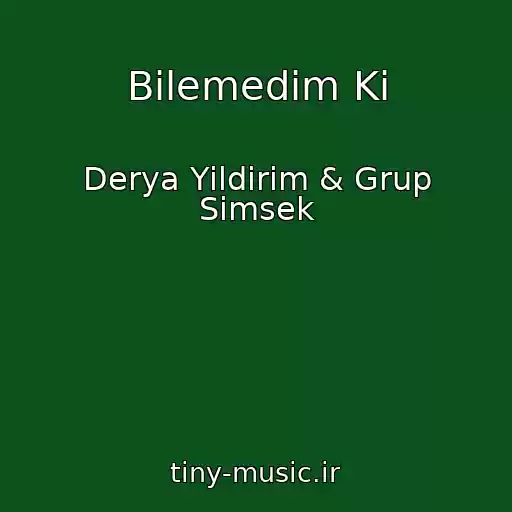 کاور آهنگ Bilemedim Ki از Derya Yildirim & Grup Simsek
