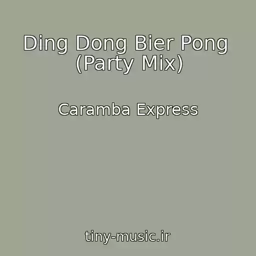 کاور آهنگ Ding Dong Bier Pong  (Party Mix) از Caramba Express