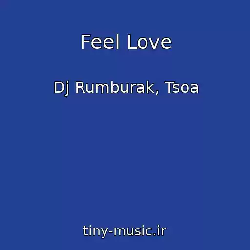کاور آهنگ Feel Love از Dj Rumburak, Tsoa