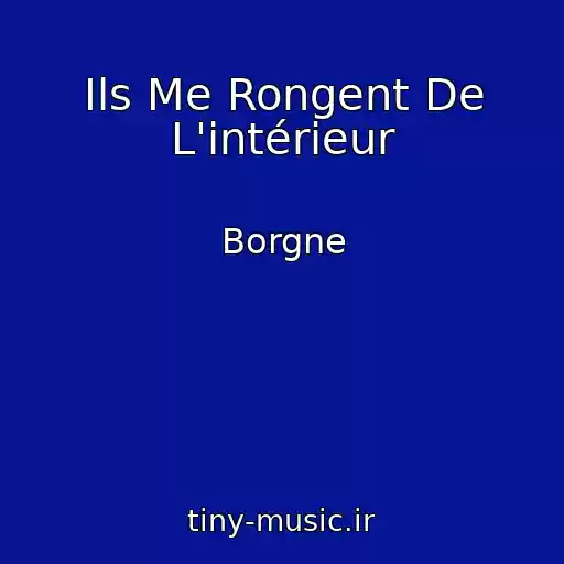 کاور آهنگ Ils Me Rongent De L'intérieur از Borgne