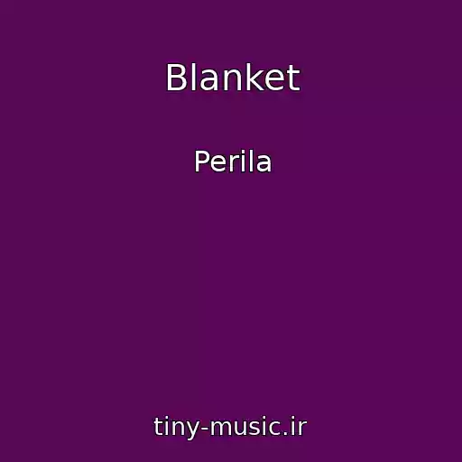 کاور آهنگ Blanket از Perila