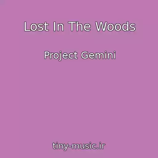 کاور آهنگ Lost In The Woods از Project Gemini