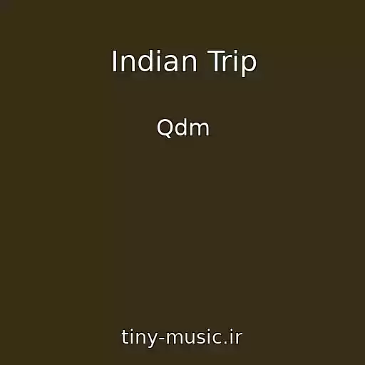 کاور آهنگ Indian Trip از Qdm