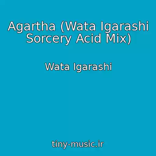 کاور آهنگ Agartha (Wata Igarashi Sorcery Acid Mix) از Wata Igarashi