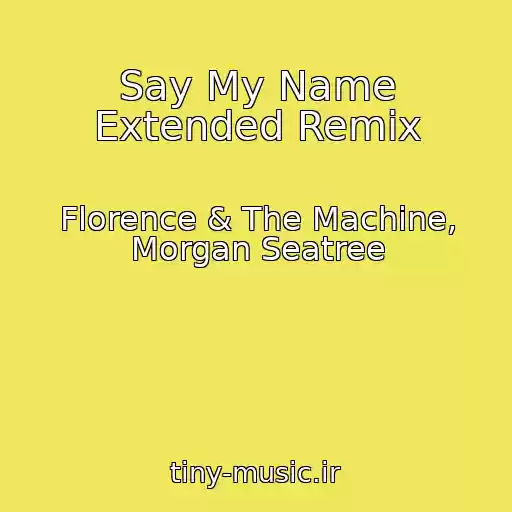 کاور آهنگ Say My Name Extended Remix از Florence & The Machine, Morgan Seatree