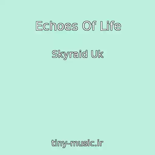 کاور آهنگ Echoes Of Life از Skyraid Uk