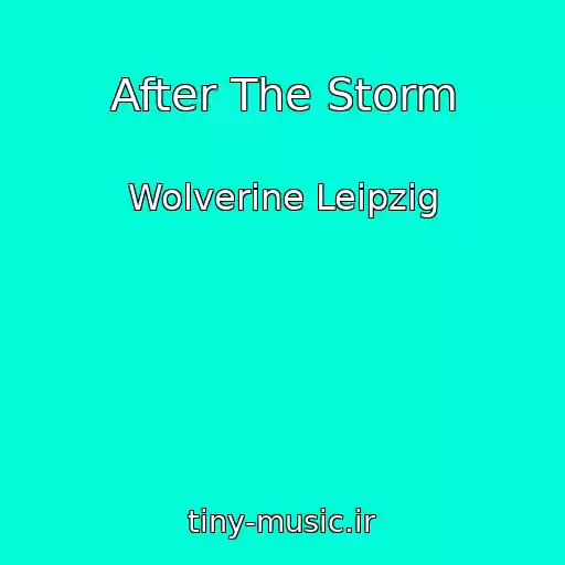 کاور آهنگ After The Storm از Wolverine Leipzig