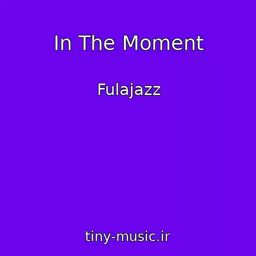 کاور آهنگ In The Moment از Fulajazz