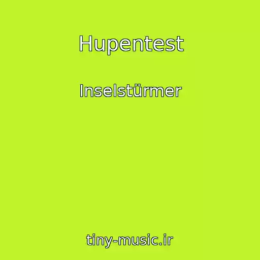 کاور آهنگ Hupentest از Inselstürmer