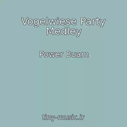 کاور آهنگ Vogelwiese Party Medley از Power Buam