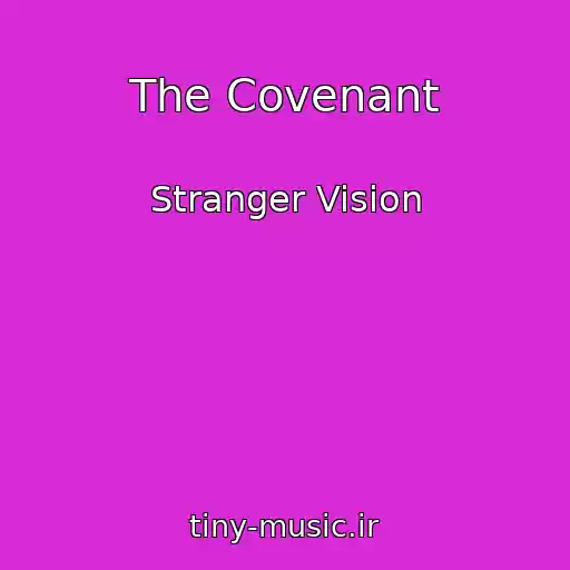 کاور آهنگ The Covenant از Stranger Vision