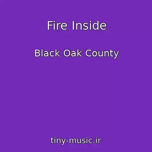 کاور آهنگ Fire Inside از Black Oak County