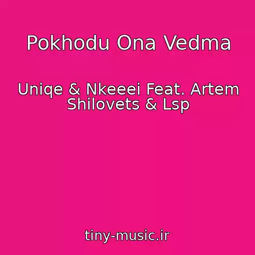 کاور آهنگ Pokhodu Ona Vedma از Uniqe & Nkeeei Feat. Artem Shilovets & Lsp