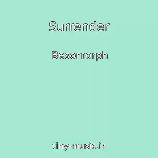 کاور آهنگ Surrender از Besomorph