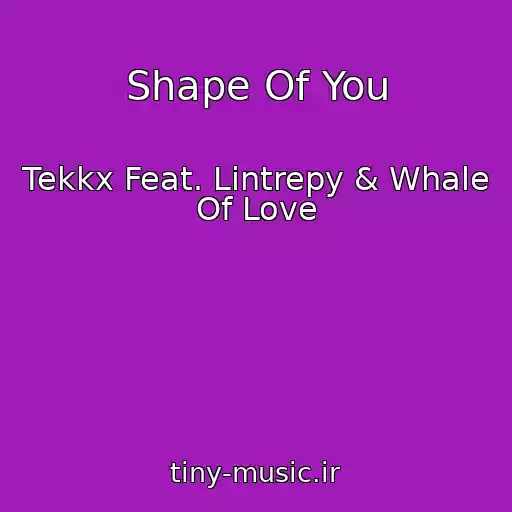 کاور آهنگ Shape Of You از Tekkx Feat. Lintrepy & Whale Of Love